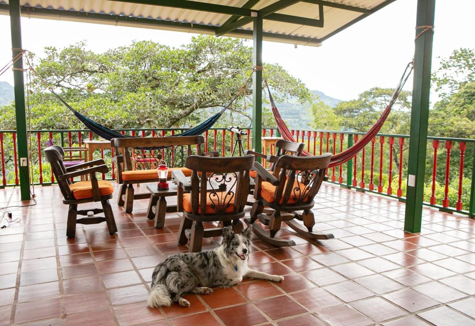 Ecohotel Monteverde La Vega  Exterior foto