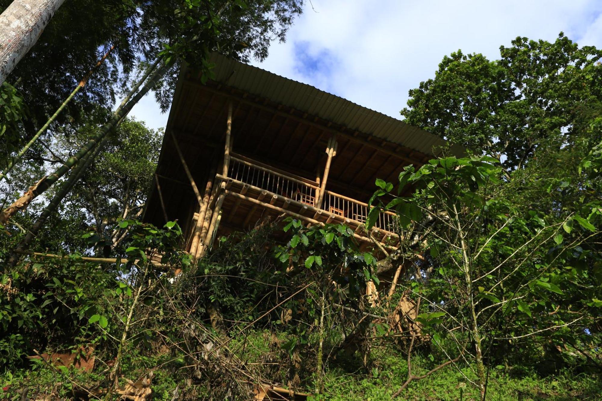 Ecohotel Monteverde La Vega  Exterior foto